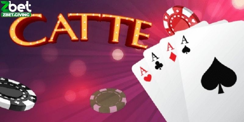 bai-catte-Zbet-2